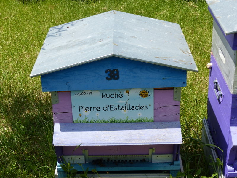 La ruche Pierre d