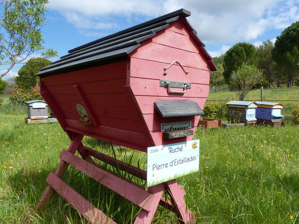 La ruche Pierre d