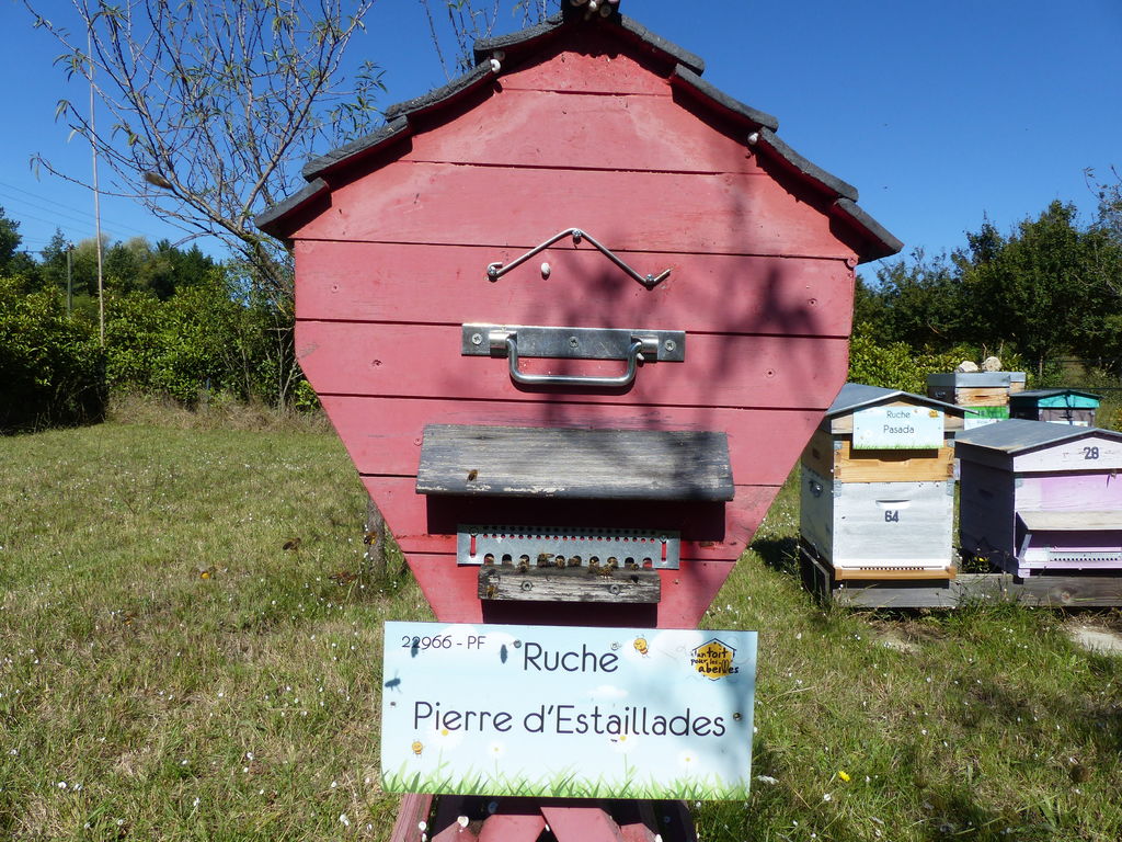 La ruche Pierre d