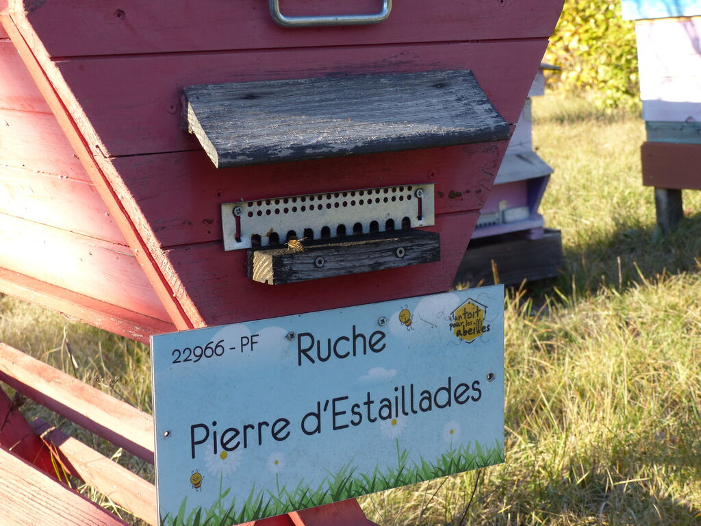 La ruche Pierre d