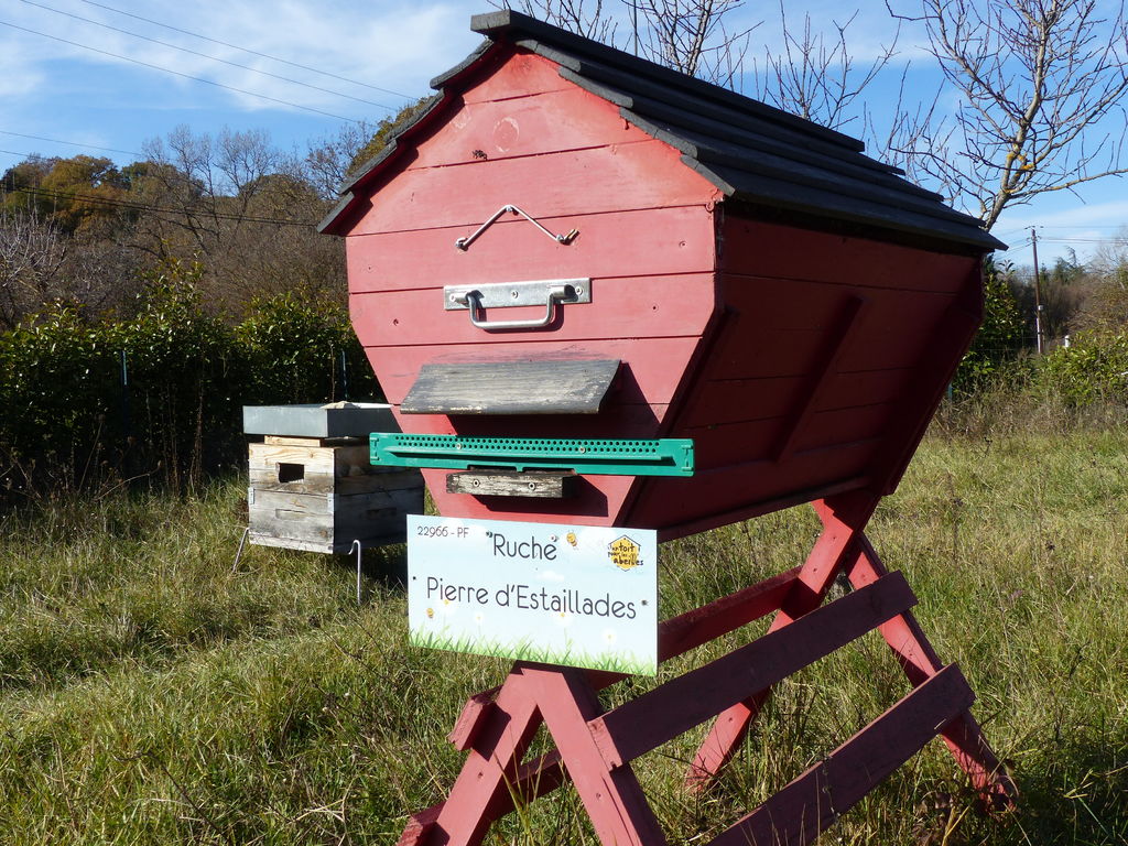 La ruche Pierre d