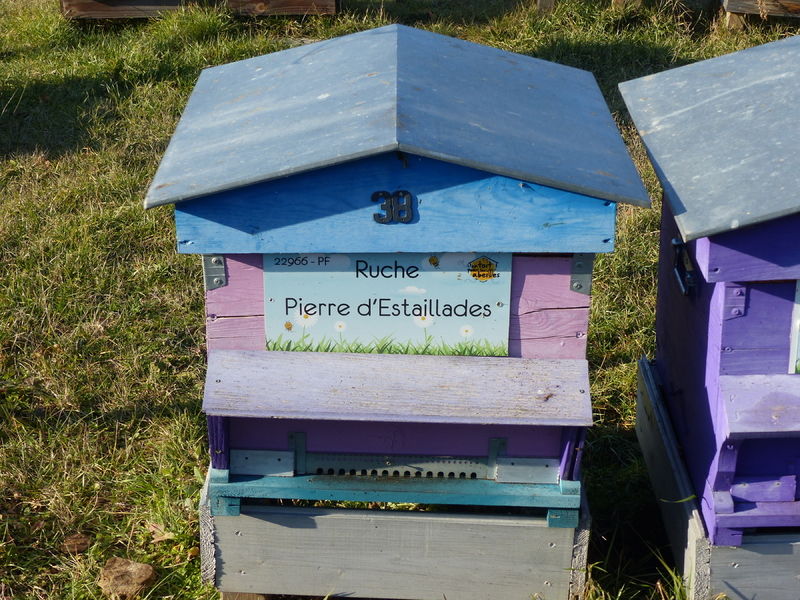 La ruche Pierre d