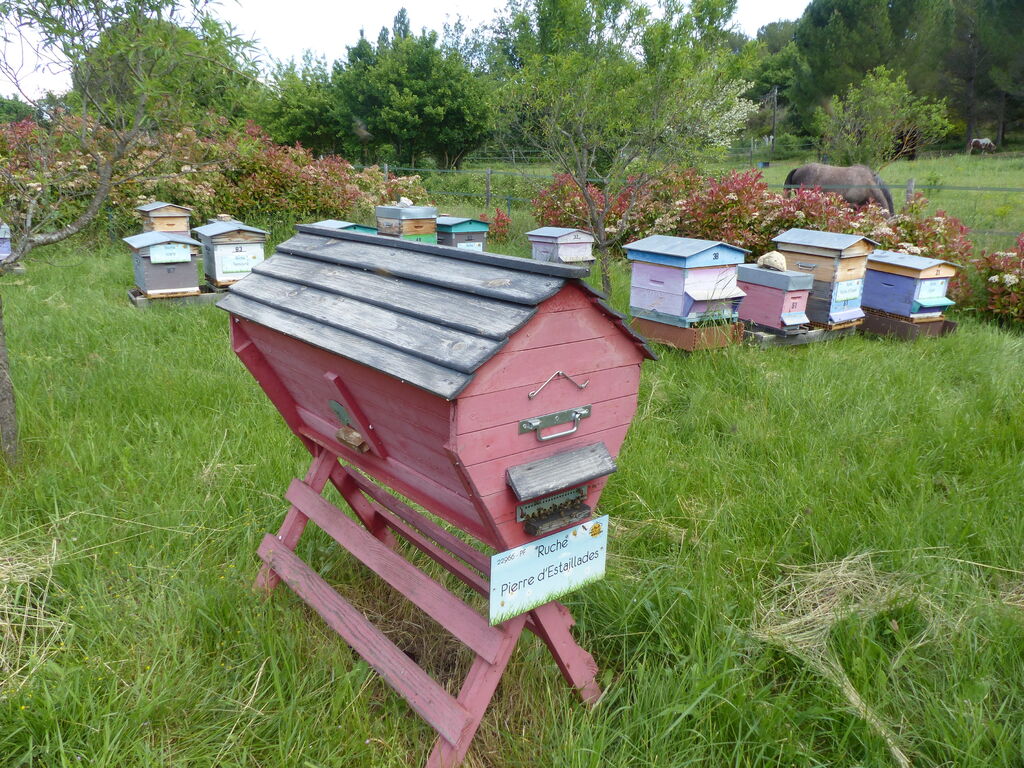 La ruche Pierre d