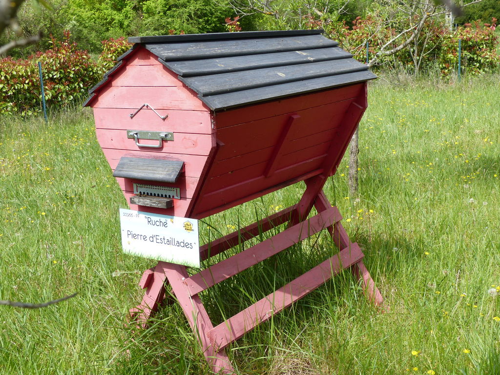 La ruche Pierre d