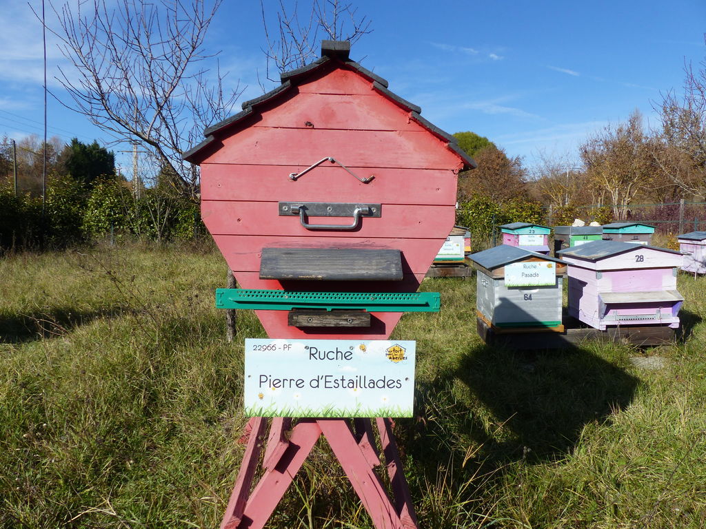 La ruche Pierre d