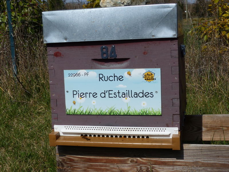 La ruche Pierre d