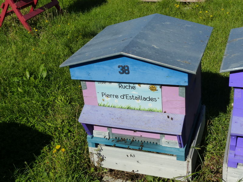 La ruche Pierre d