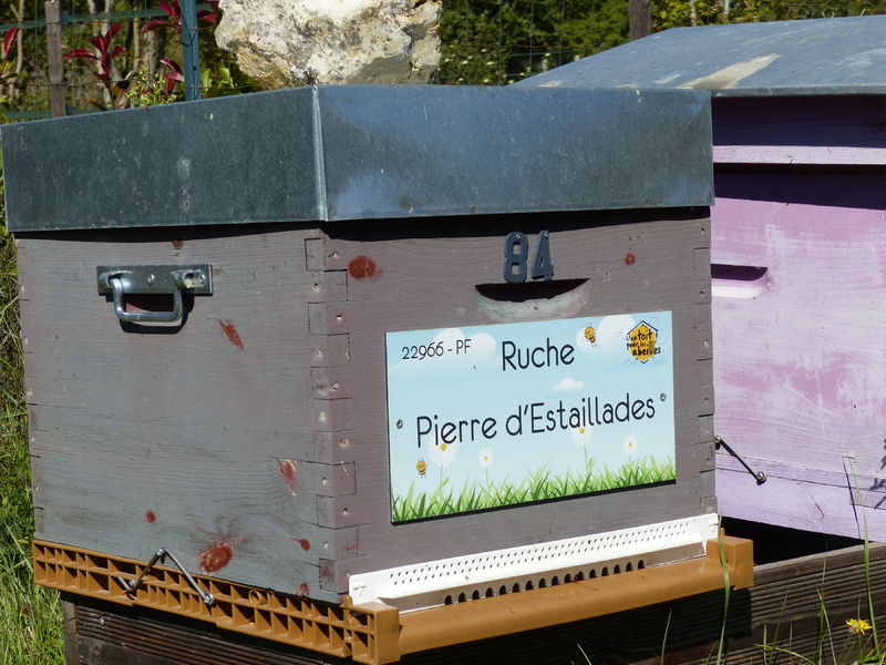 La ruche Pierre d