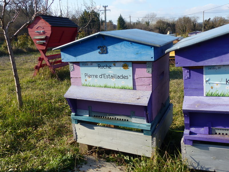La ruche Pierre d