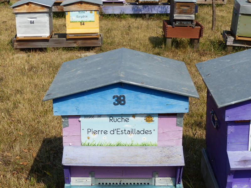 La ruche Pierre d