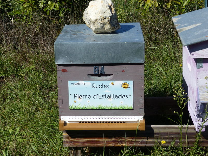 La ruche Pierre d