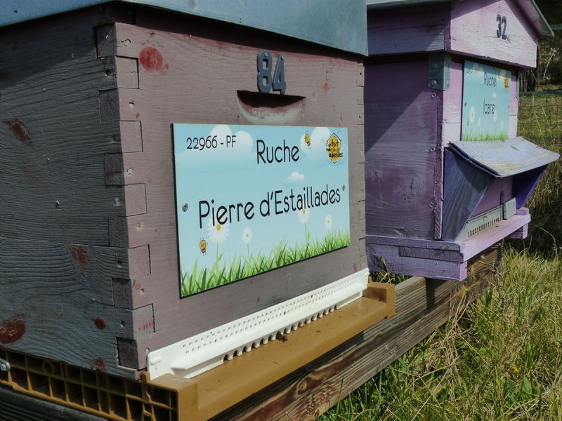 La ruche Pierre d
