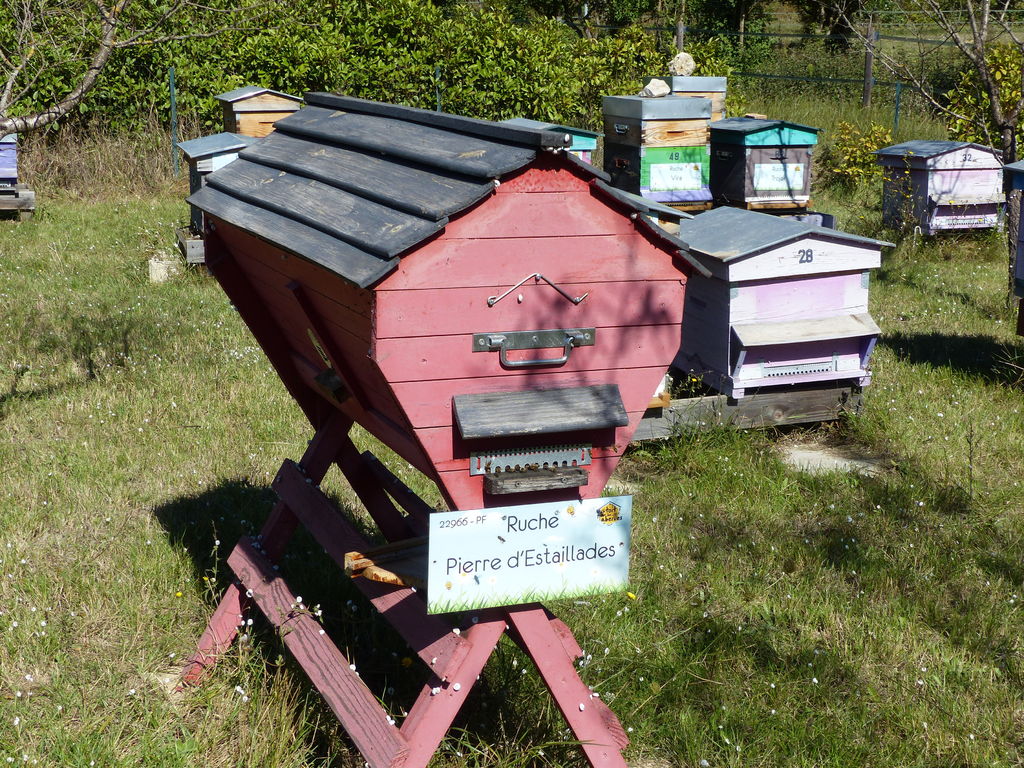 La ruche Pierre d