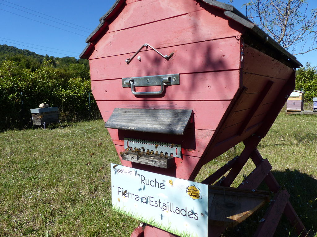 La ruche Pierre d