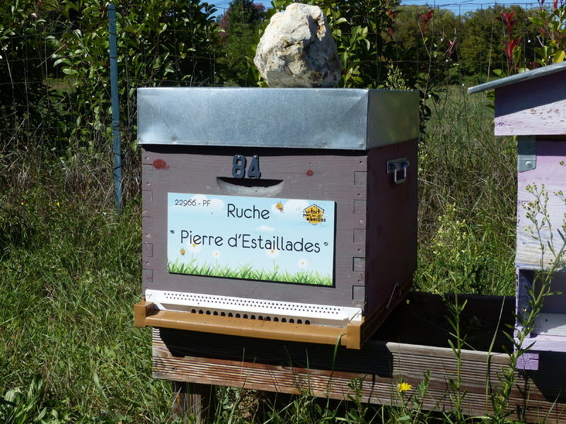 La ruche Pierre d
