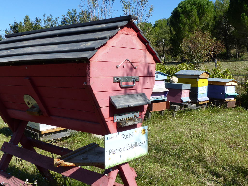 La ruche Pierre d