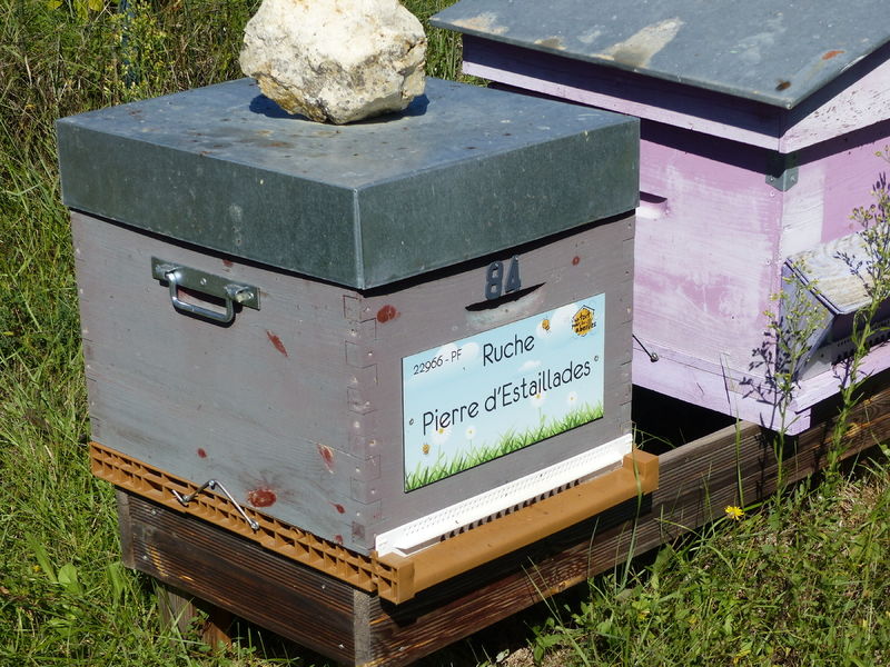 La ruche Pierre d