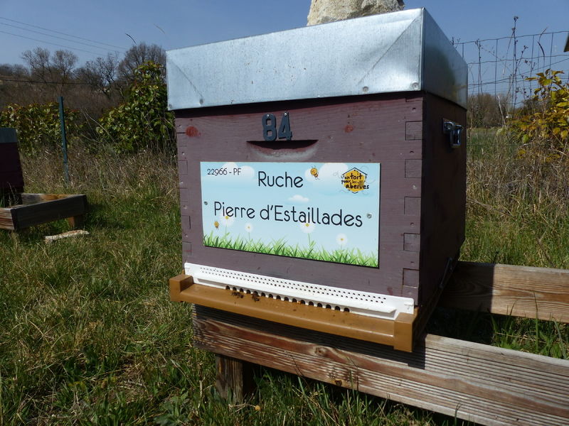 La ruche Pierre d