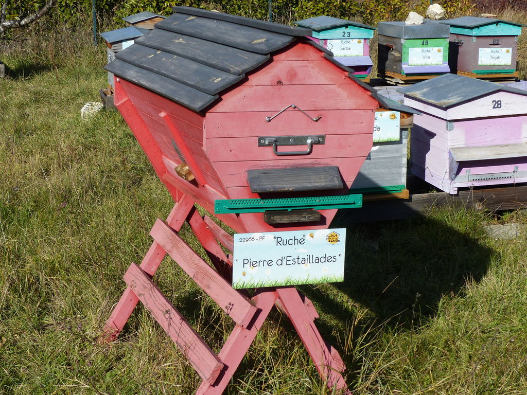 La ruche Pierre d