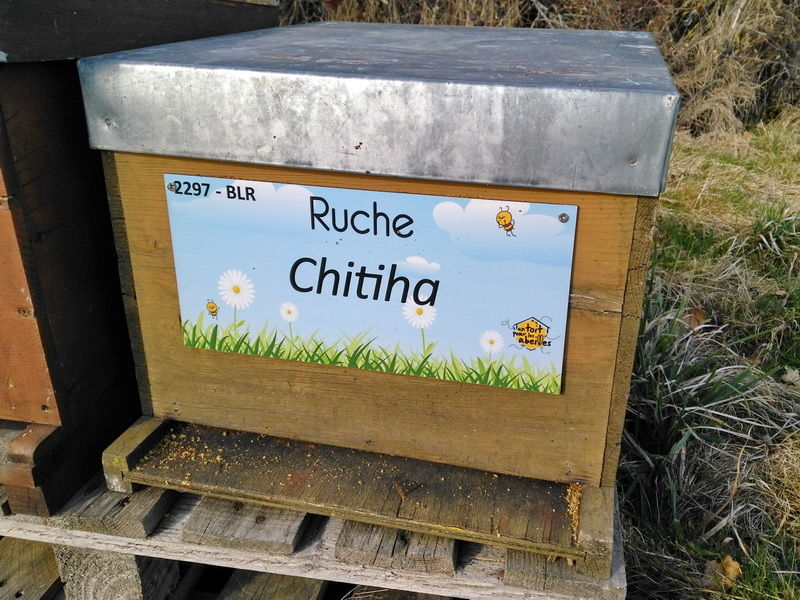 La ruche Chitiha