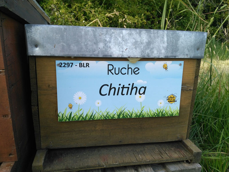 La ruche Chitiha