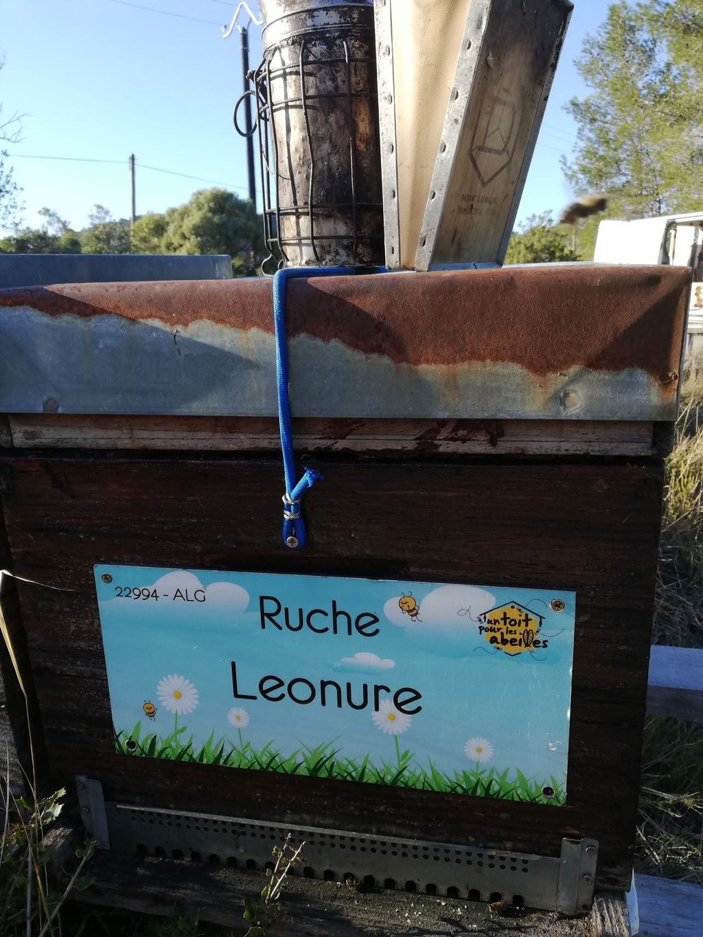 La ruche Leonure