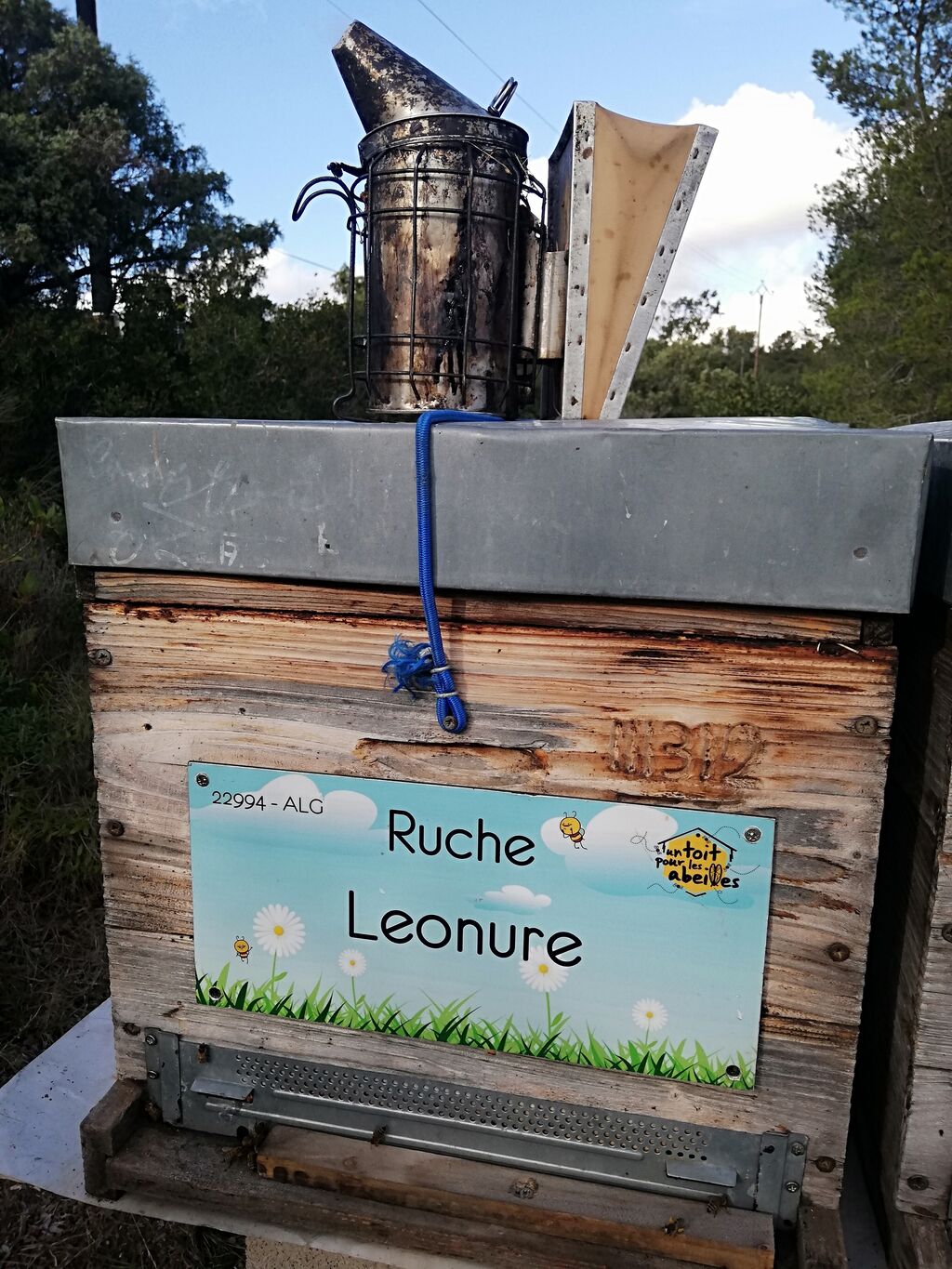 La ruche Leonure