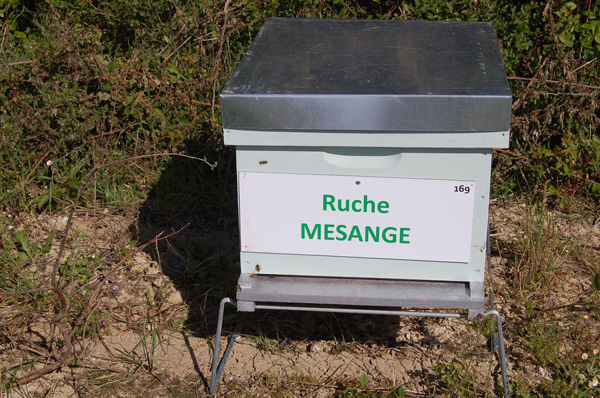 La ruche Mésange