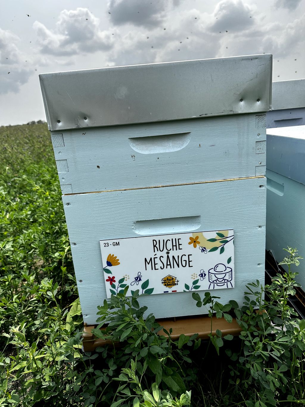 La ruche Mésange