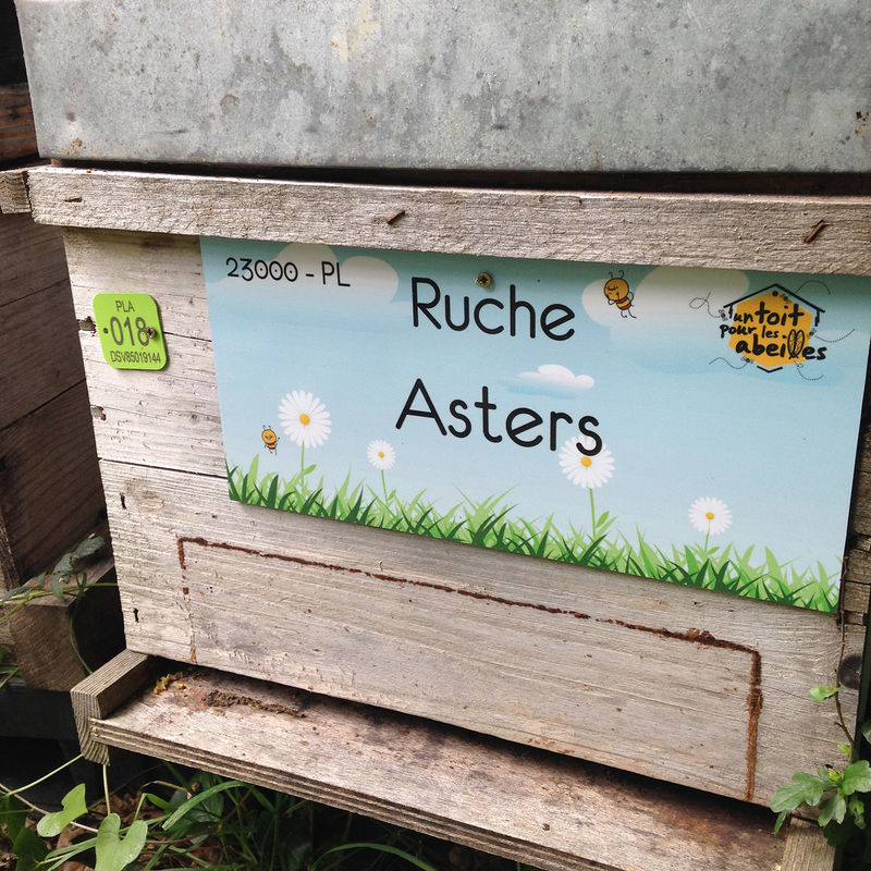 La ruche