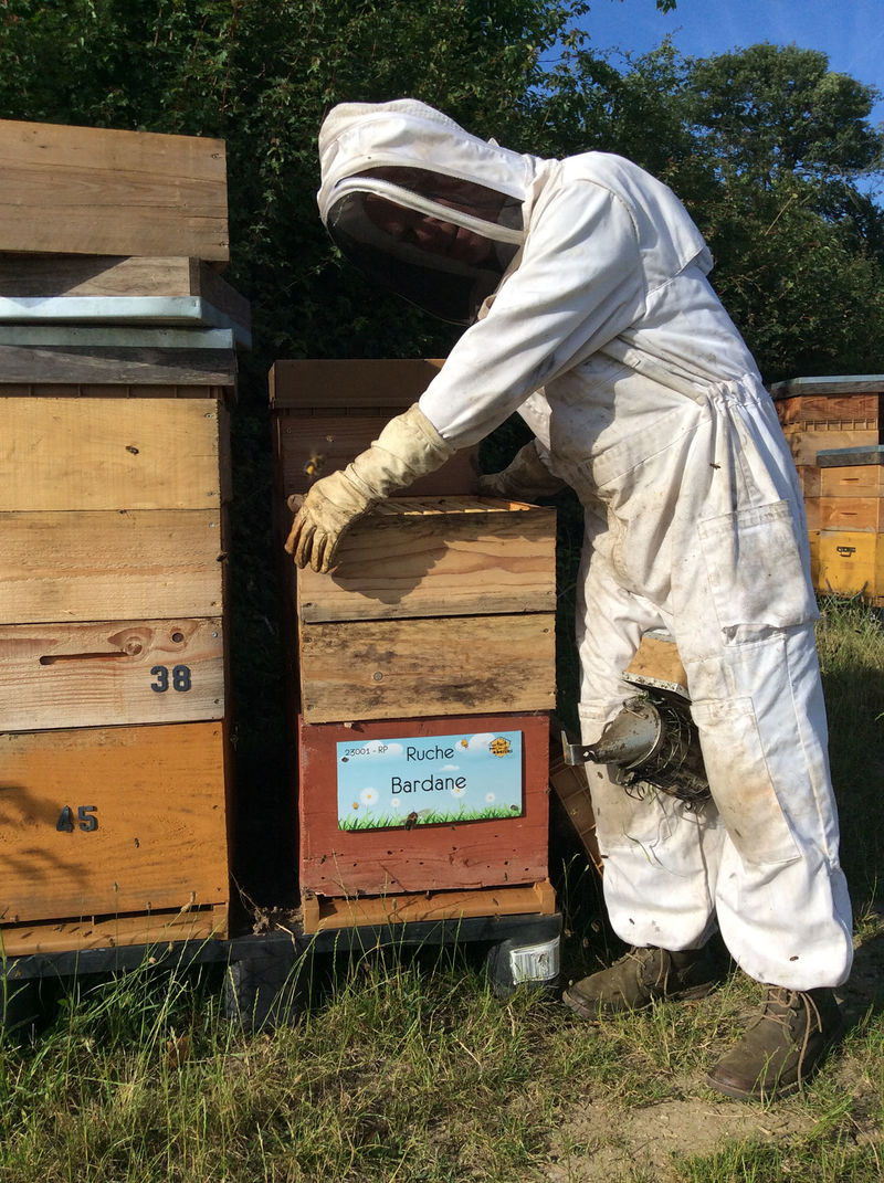 La ruche Bardane 