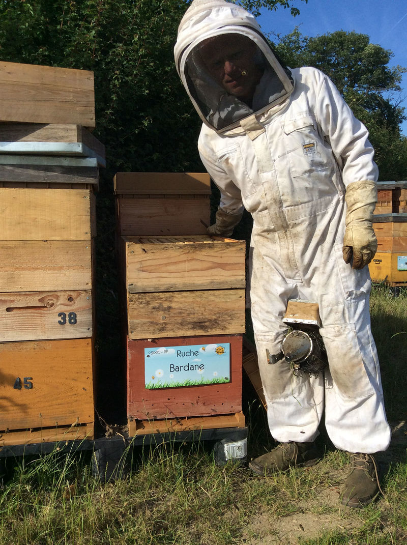 La ruche Bardane 