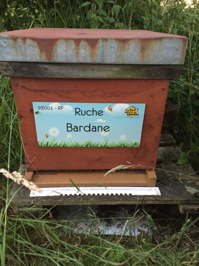 La ruche Bardane 