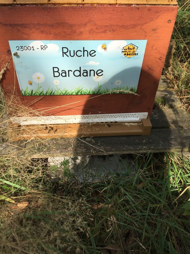 La ruche Bardane 
