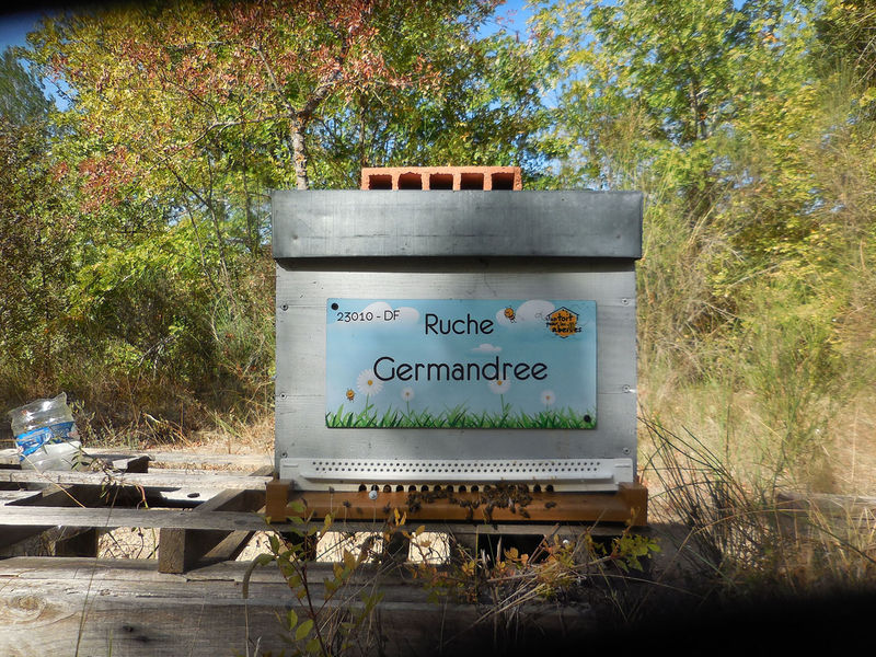 La ruche