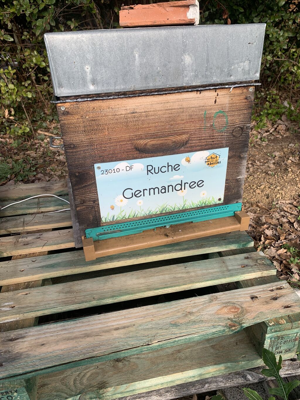 La ruche Germandree