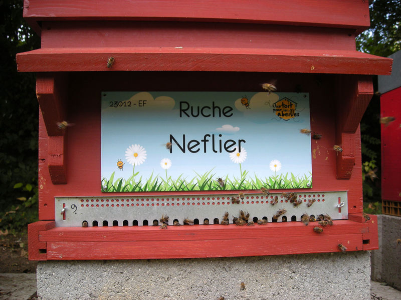 La ruche Neflier