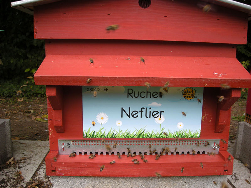 La ruche Neflier