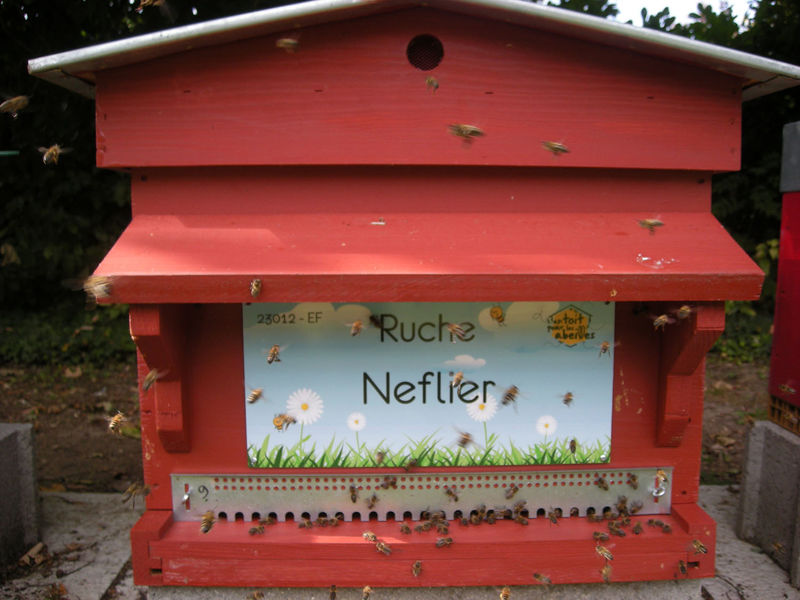 La ruche Neflier
