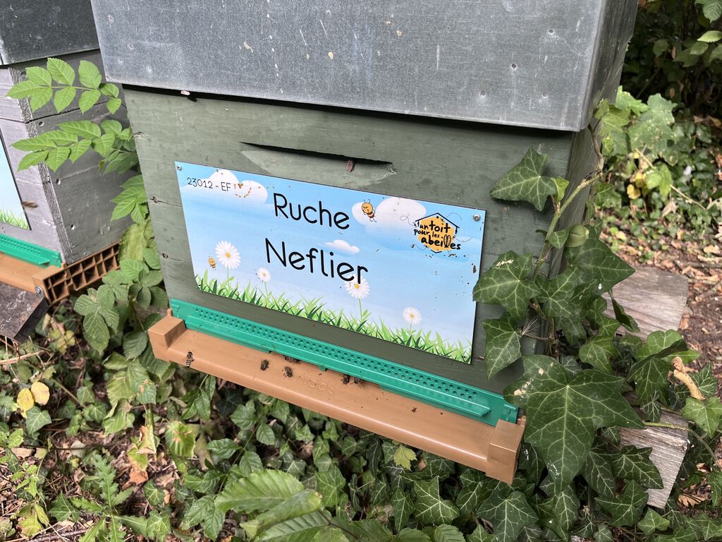 La ruche Neflier
