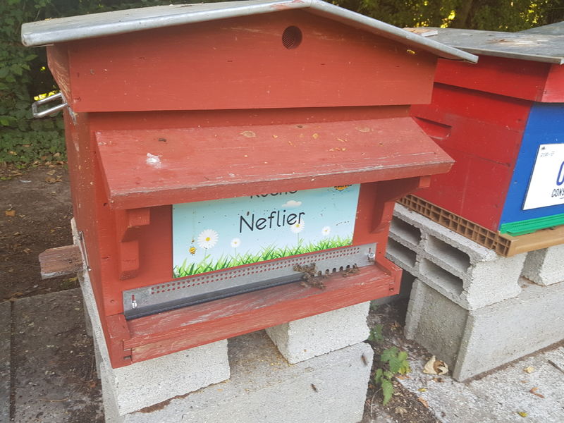 La ruche Neflier