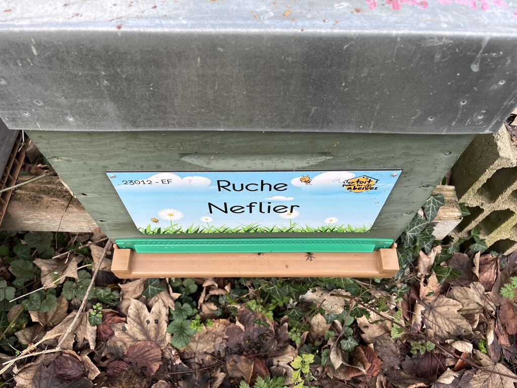 La ruche Neflier