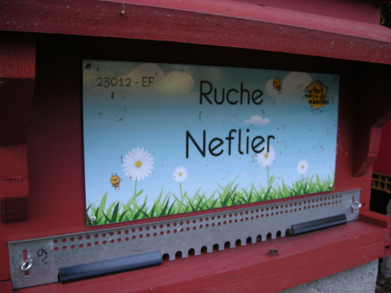 La ruche Neflier