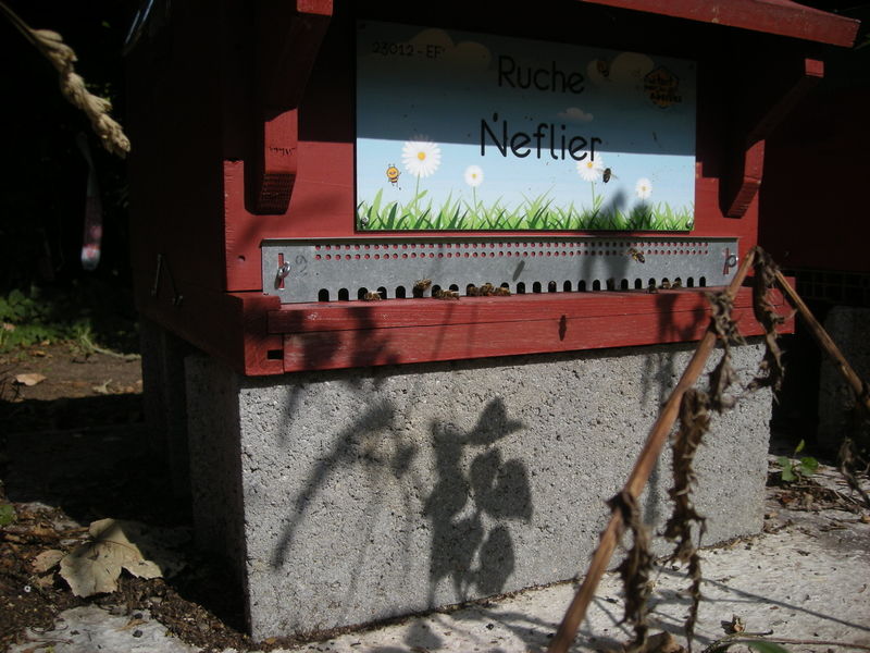 La ruche Neflier