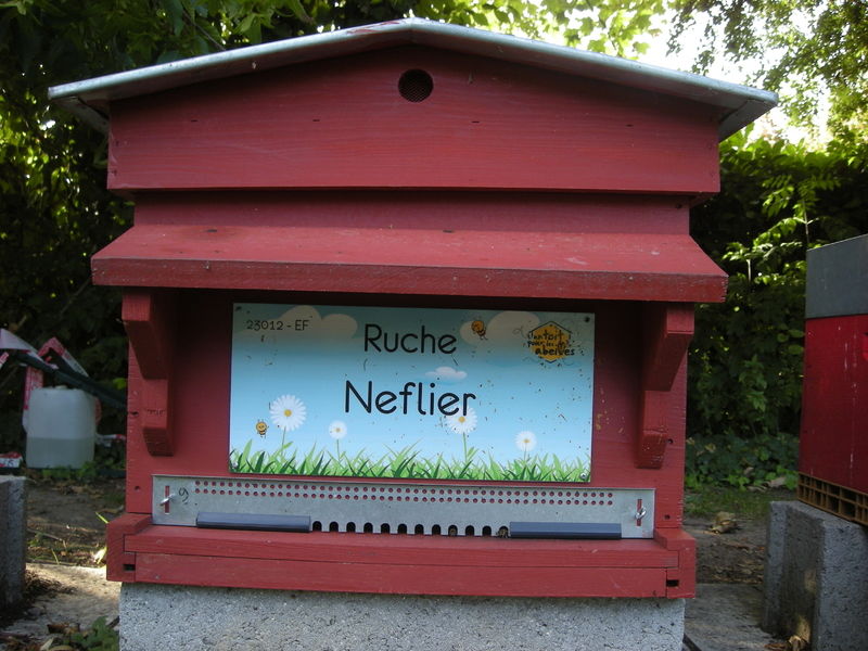 La ruche Neflier