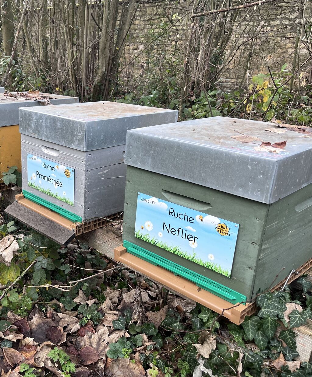 La ruche Neflier