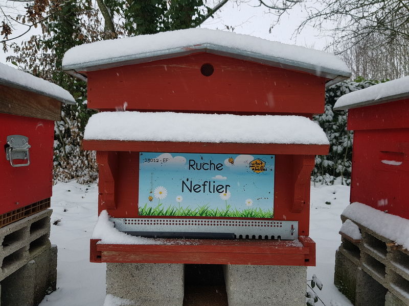 La ruche Neflier