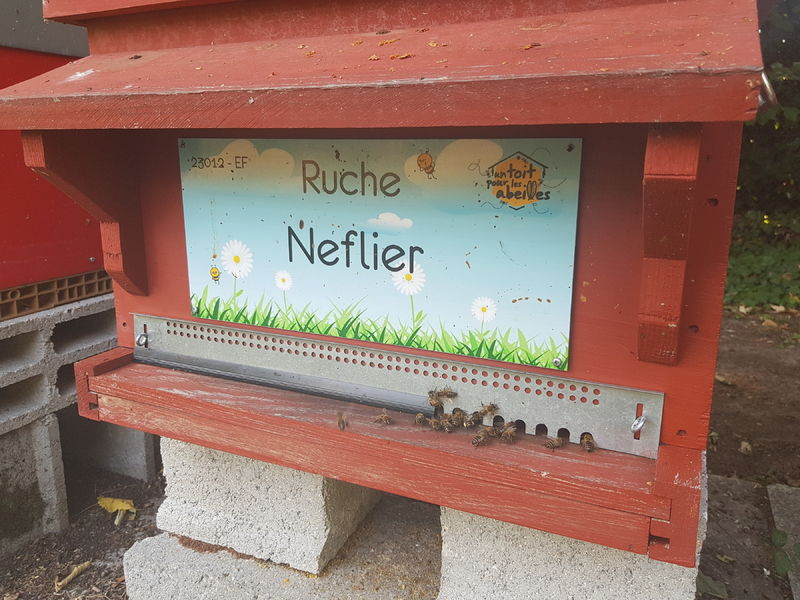 La ruche Neflier