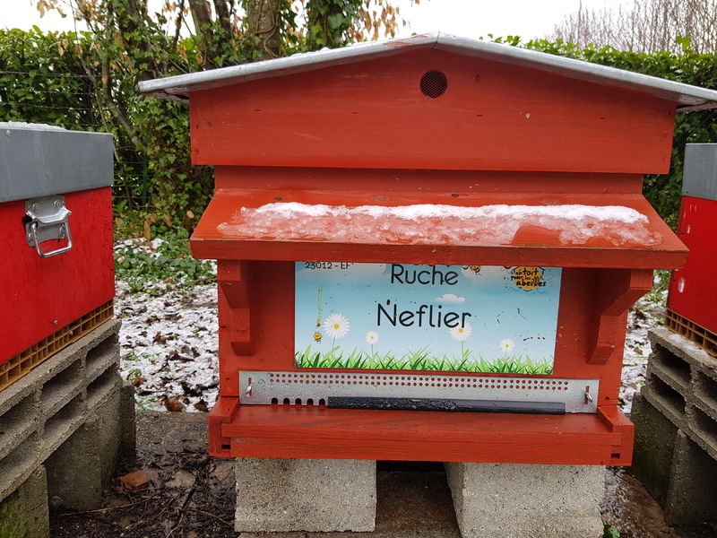La ruche Neflier
