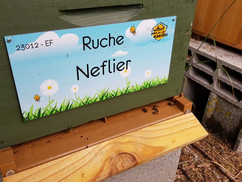 La ruche Neflier